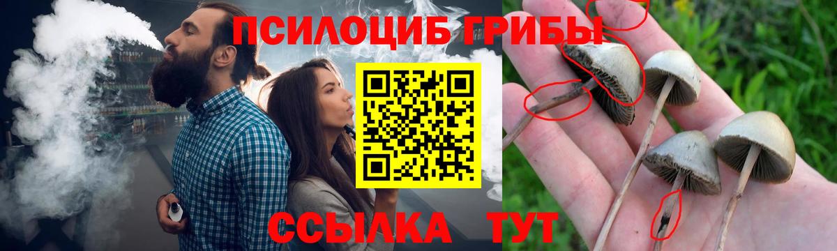 Галлюциногенные грибы мухоморы Казань