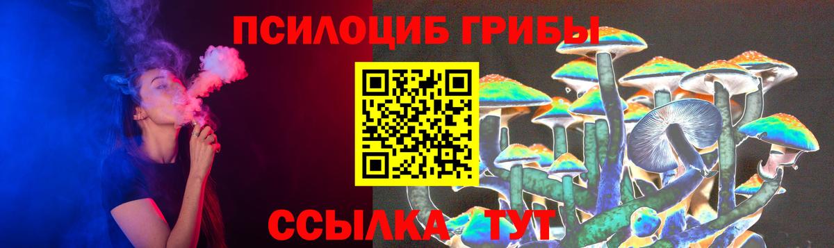 Галлюциногенные грибы Psilocybe  Вход с VPN  Казань 